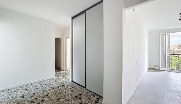 Appartement 3 pièces  à louer Ajaccio 20000