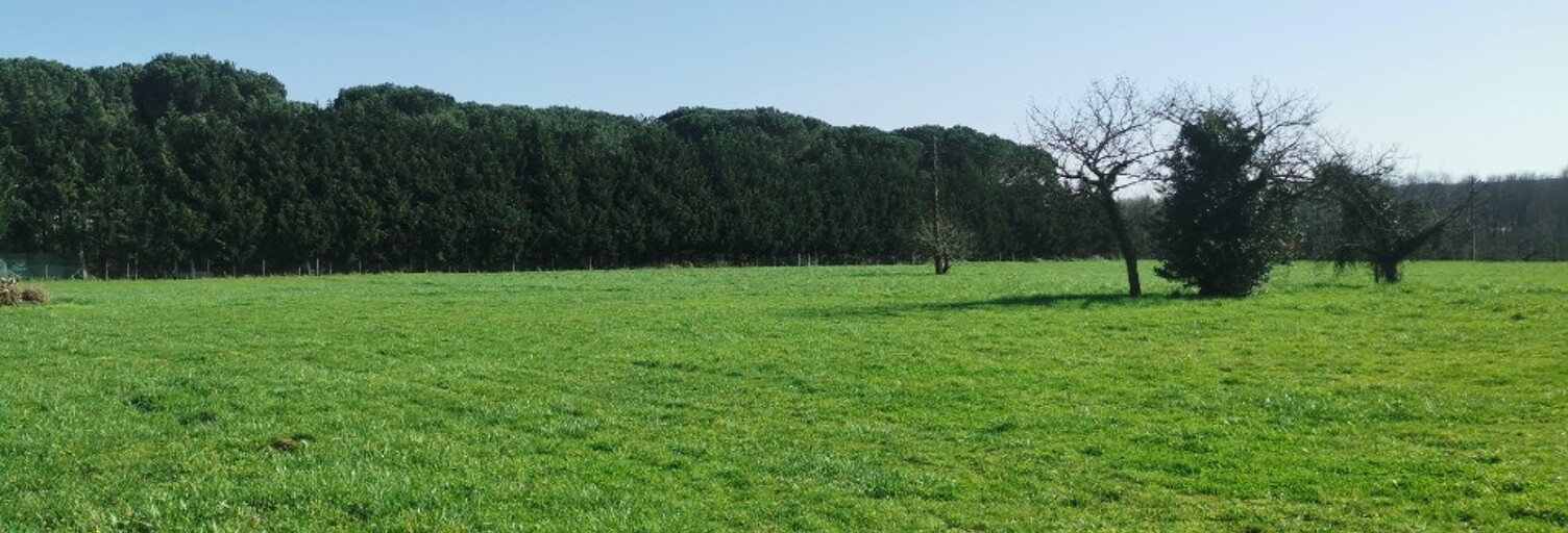 Terrain  831 m² à vendre à Landiras (33720)