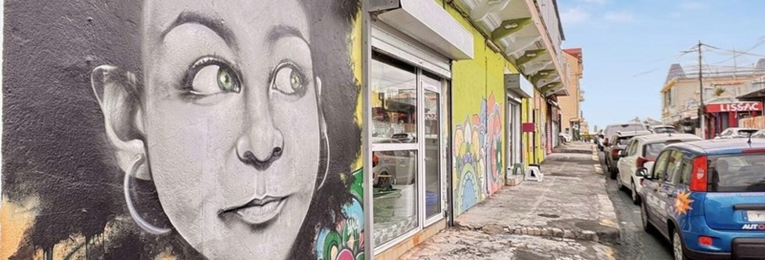 Commerce 1 Pièce 300 m² à vendre à Le Moule (97160)