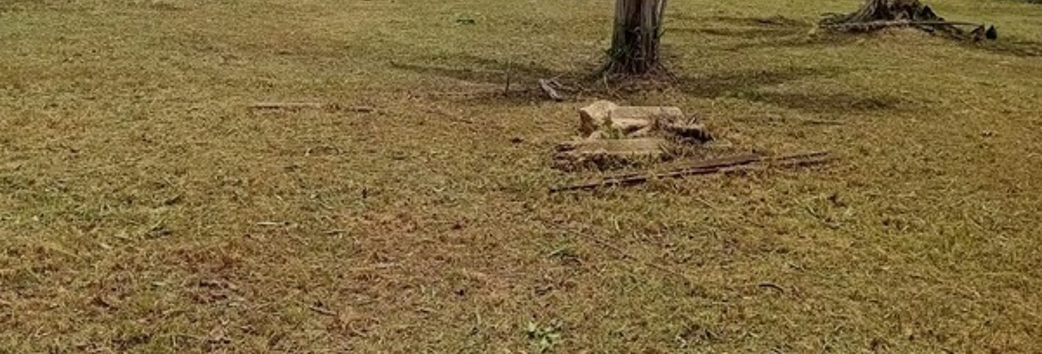 Terrain  3000 m² à vendre à Macouria (97355)