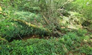 Terrain  4300 m² à vendre à Dinan (22100)