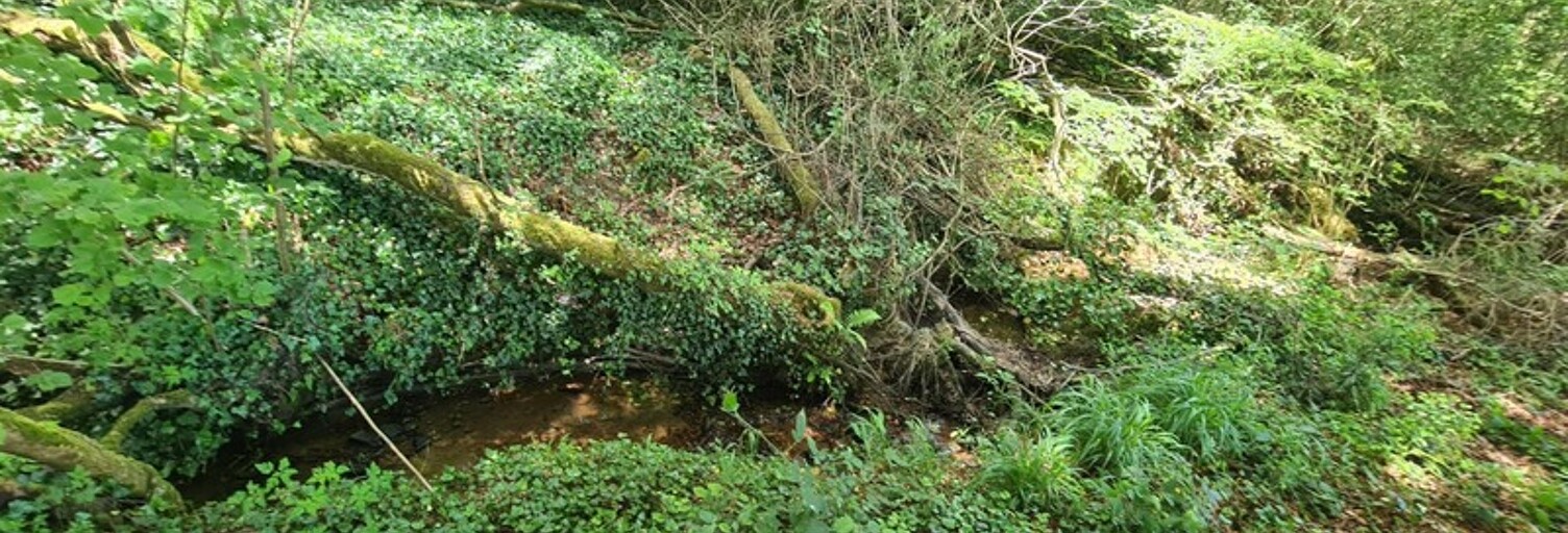 Terrain  4300 m² à vendre à Dinan (22100)