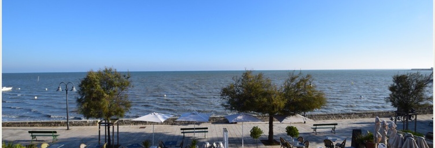 Appartement 1 Pièce 29 m² à vendre à La Flotte (17630)