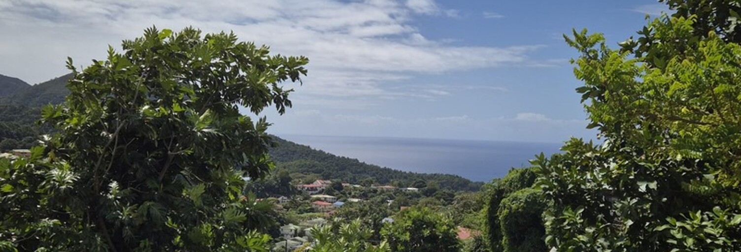 Maison 3 Pièces 72 m² à vendre à Gourbeyre (97113)