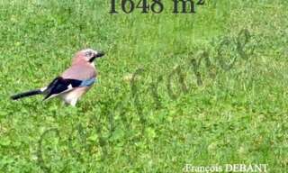 Terrain  1648 m² à vendre à Juniville (08310)