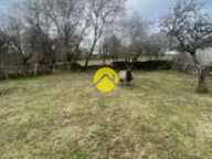 ETABLE GRANGE — photo 2
