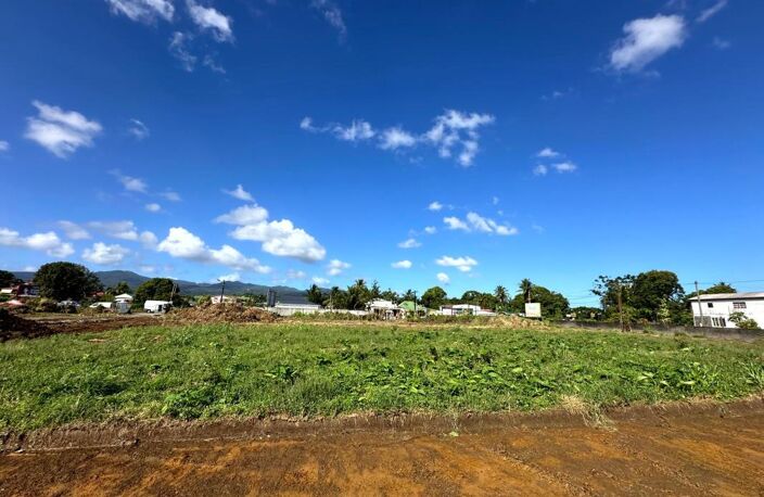 Ste-Rose : Terrains lotissement neuf viabilisés "Les Anceneaux". Vue montagne. Secteur La Boucan. Dès 96 000 € — photo 2