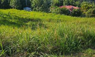 Terrain  800 m² à vendre à Petit-Bourg (97170)