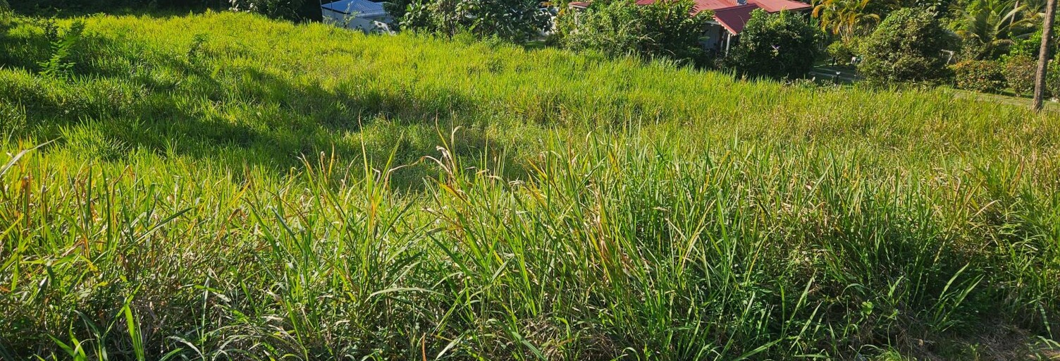 Terrain  800 m² à vendre à Petit-Bourg (97170)