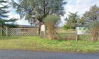 Terrain  6963 m² à vendre à La Romagne (49740)