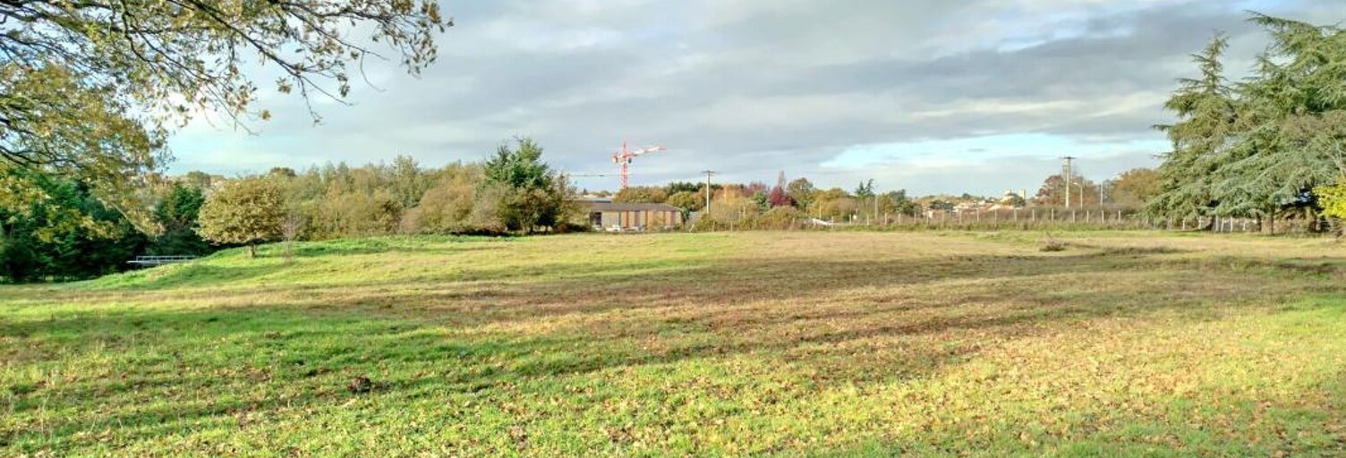 Terrain  6961 m² à vendre à La Romagne (49740)