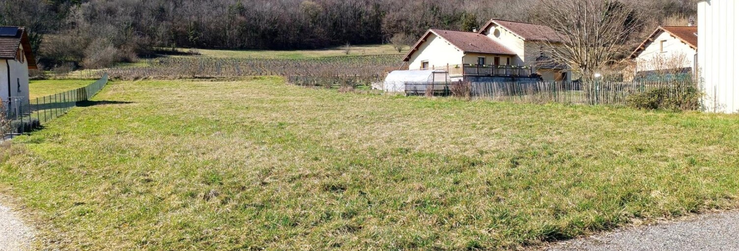 Terrain  2233 m² à vendre à Conzieu (01300)