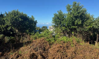 Terrain  450 m² à vendre à Le Tampon (97430)