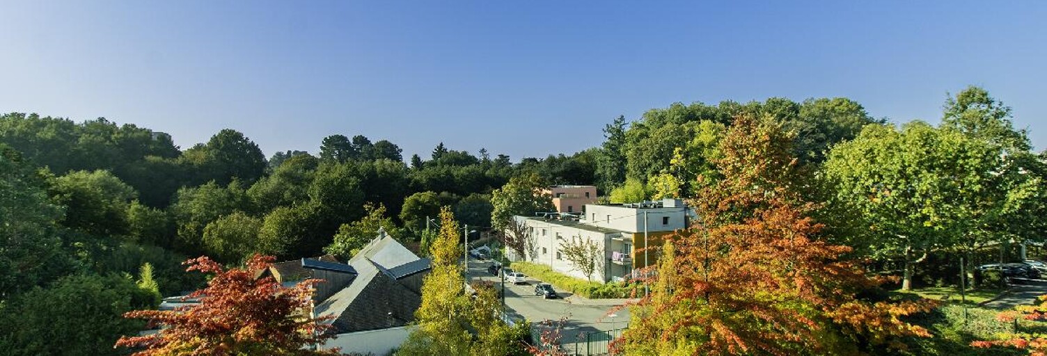 Appartement 1 Pièce 19 m² à vendre à Nantes (44300)