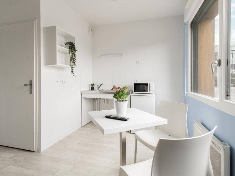 Idéal investisseur : grand studio meublé avec gestion optimisée à Nantes — photo 1