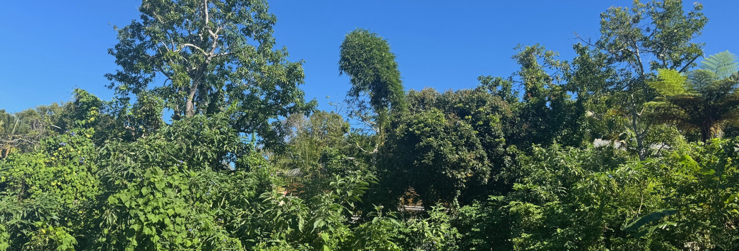 Terrain  354 m² à vendre à Le Tampon (97430)