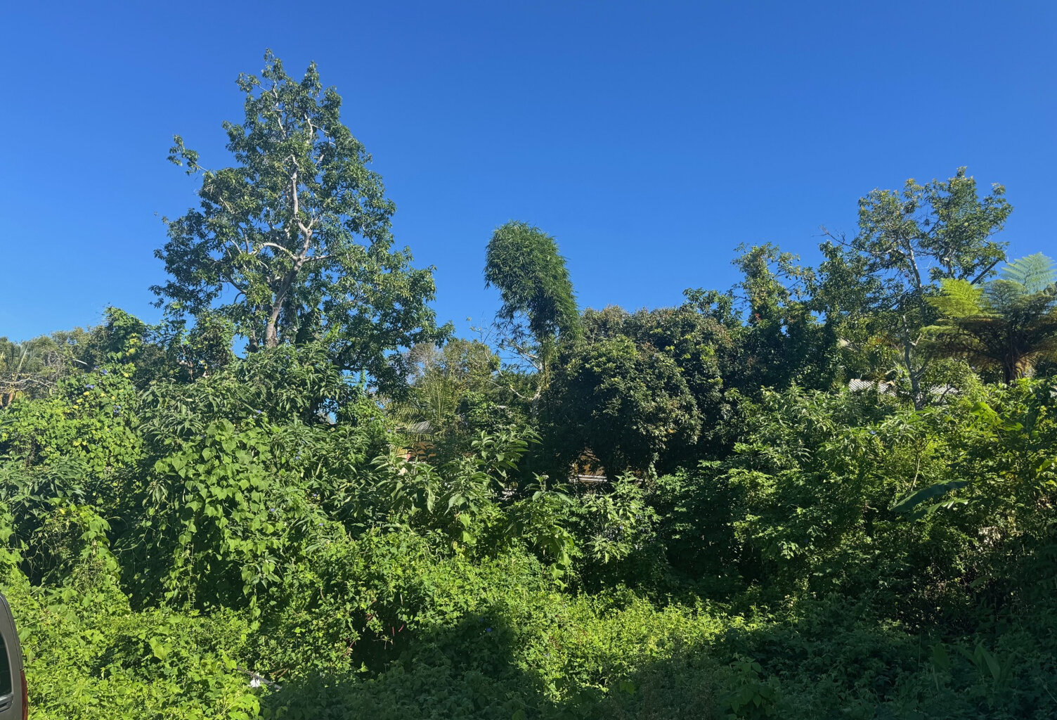 À VENDRE   Parcelle de terrain bornée de 328 m2   Secteur Br — photo 1