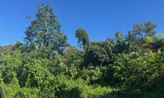 Terrain  328 m² à vendre à Le Tampon (97430)