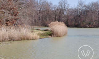 Terrain  22200 m² à vendre à Bossieu (38260)