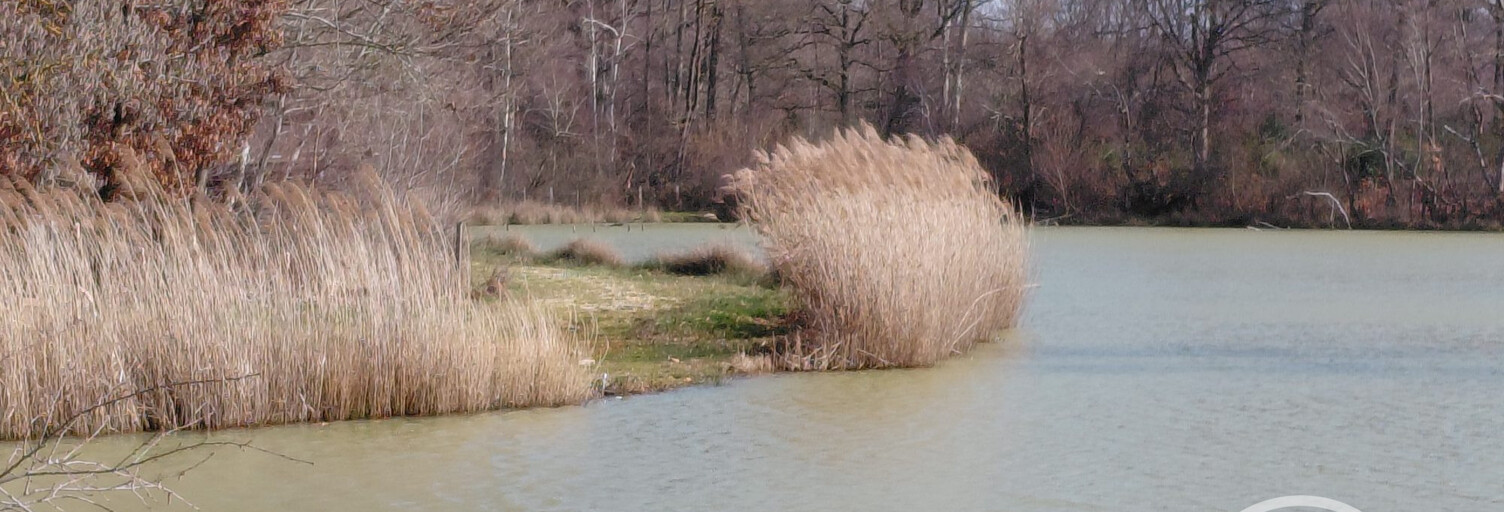 Terrain  22200 m² à vendre à Bossieu (38260)