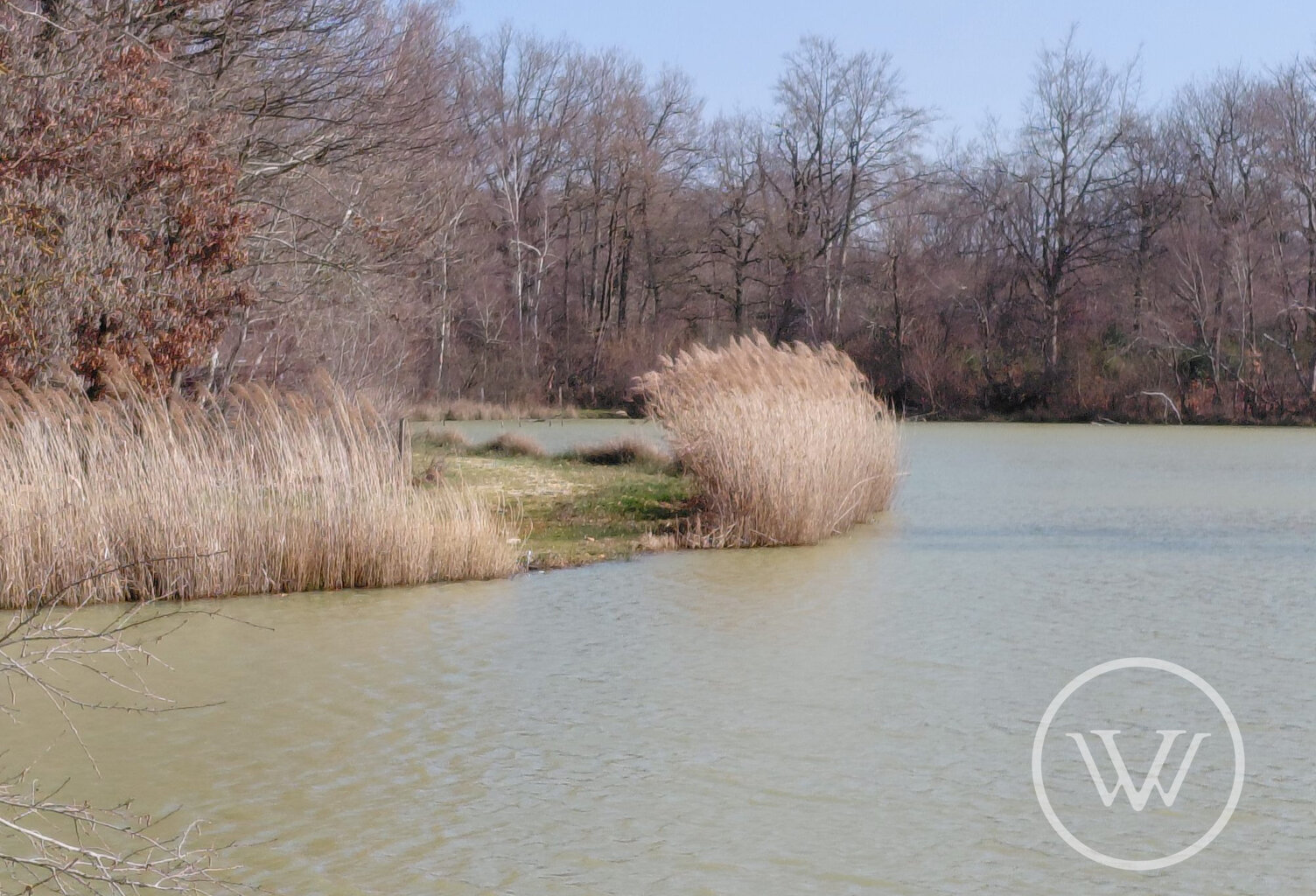 VENTE ETANG DE 2 HECTARES — photo 1