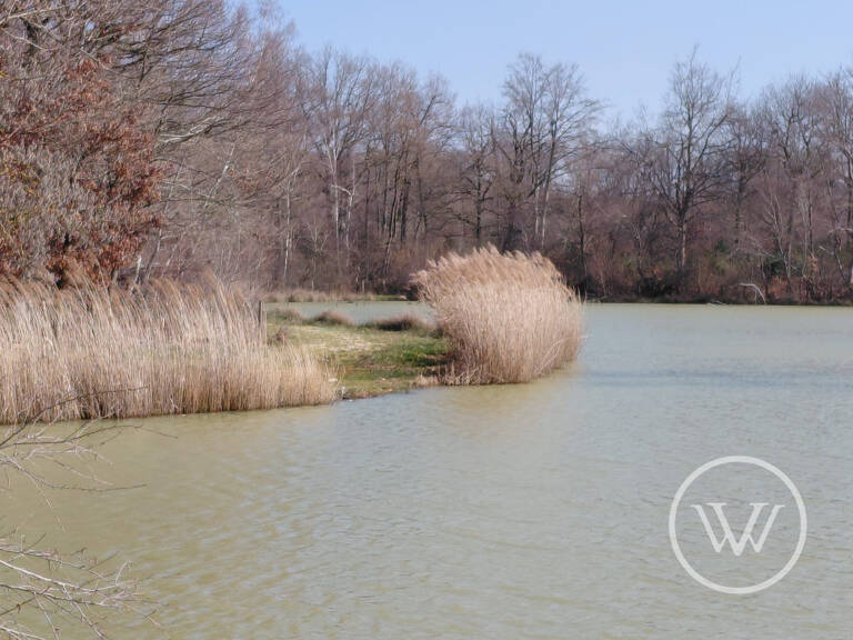 VENTE ETANG DE 2 HECTARES — photo 1