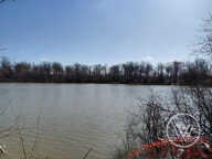 VENTE ETANG DE 2 HECTARES — photo 2