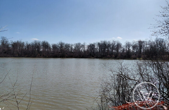 VENTE ETANG DE 2 HECTARES — photo 2