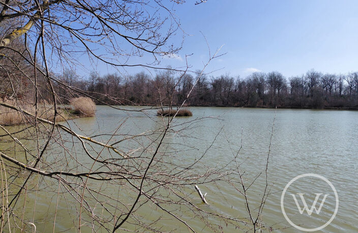 VENTE ETANG DE 2 HECTARES — photo 3
