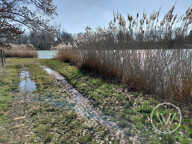 VENTE ETANG DE 2 HECTARES — photo 4