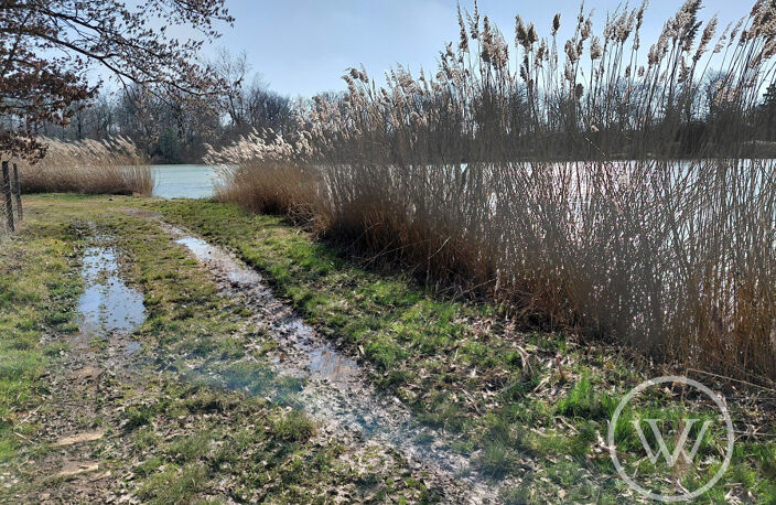 VENTE ETANG DE 2 HECTARES — photo 4