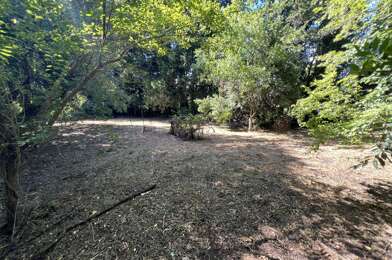 Terrain  66620 €