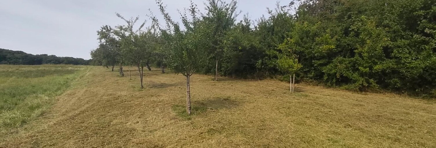 Terrain  3620 m² à vendre à Neuviller-sur-Moselle (54290)