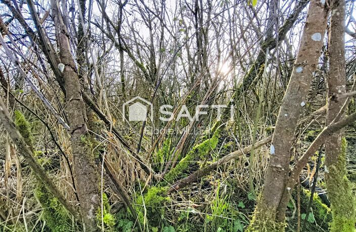 Bel emplacement accessible en voiture — photo 2