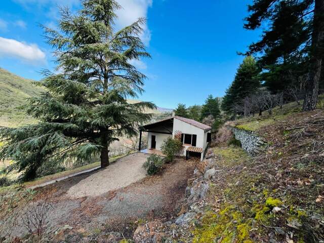 Maison de plain-pied bien construite. — photo du bien