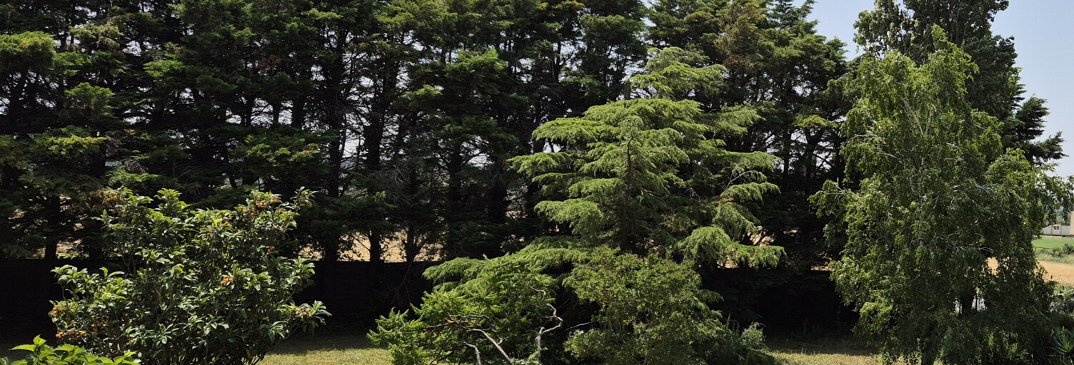 Maison 7 Pièces 158 m² à vendre à Bram (11150)