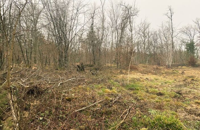   Maison neuve à construire — photo 5