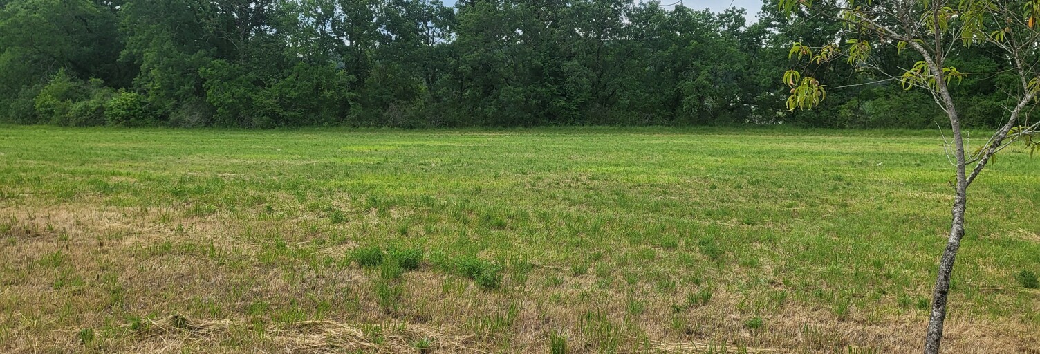 Terrain 1900 m² à construire Lisle (24350)