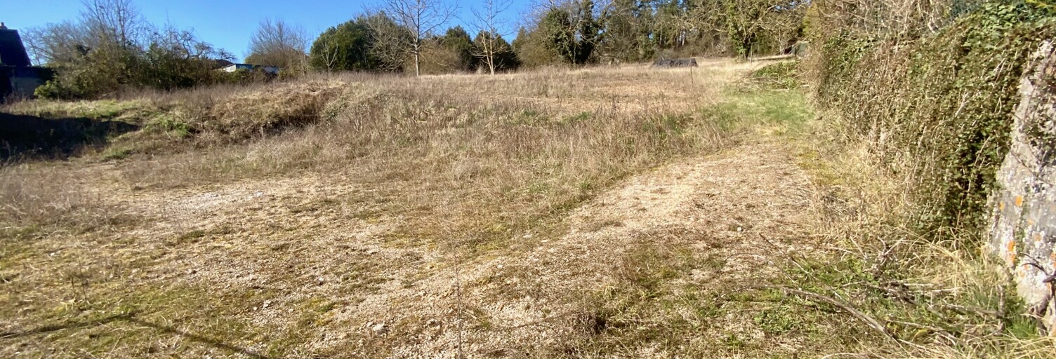 Terrain  3486 m² à vendre à Nailly (89100)