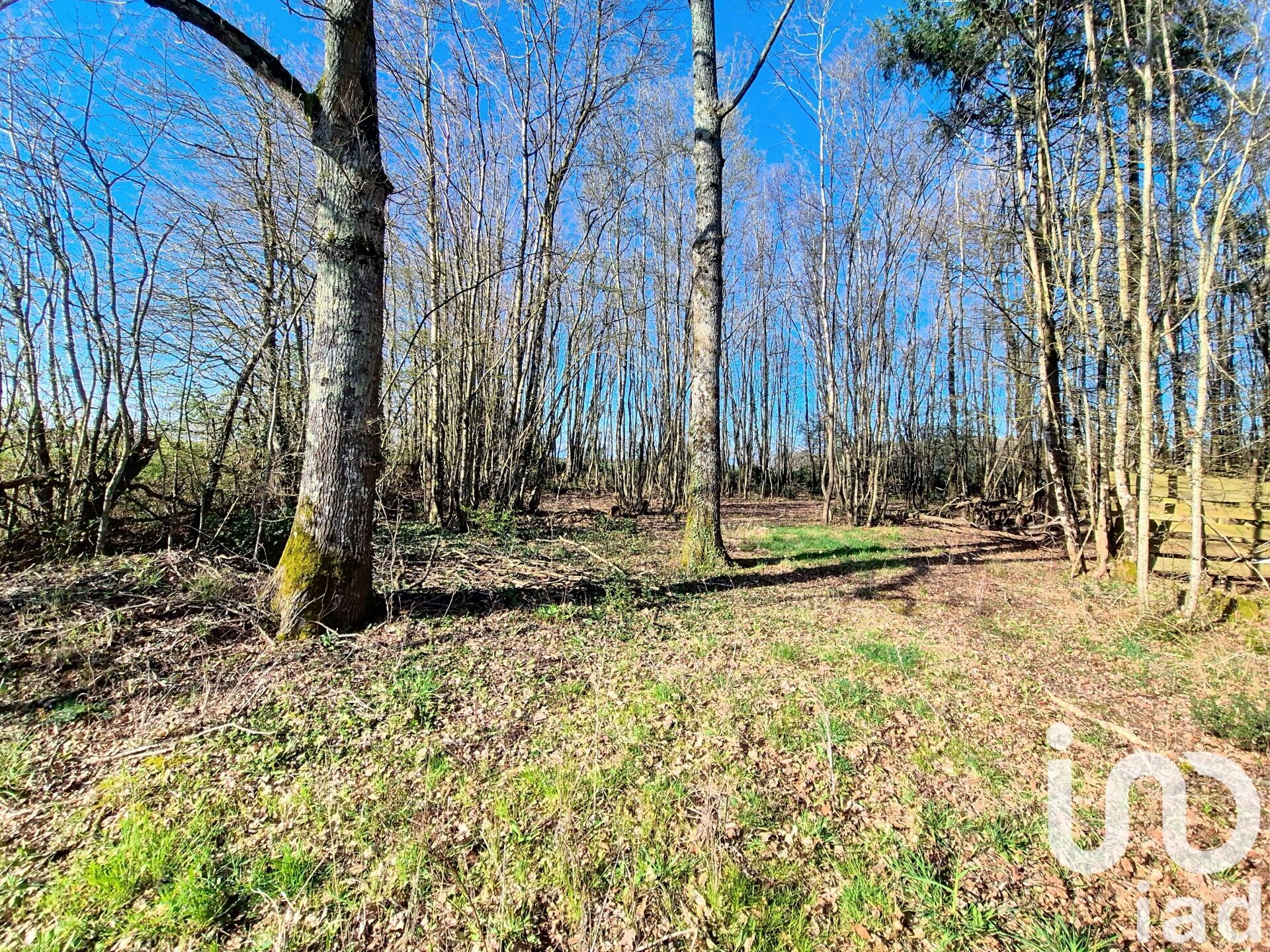 St-Firmin-Des-Bois - 3380m²