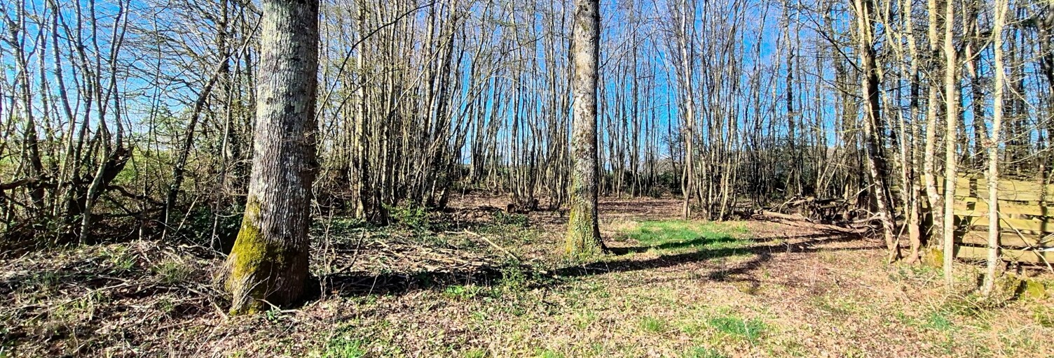 Terrain  3380 m² à vendre à Saint-Firmin-des-Bois (45220)