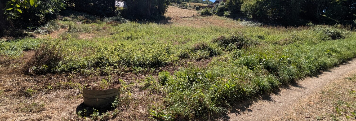 Terrain  1229 m² à vendre à Saint-Girons (09200)