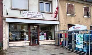 Commerce 7 Pièces 240 m² à vendre à Oermingen (67970)