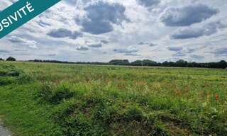 Terrain  15220 m² à vendre à Varaize (17400)