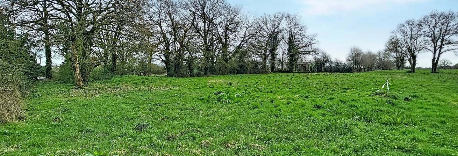 Terrain  876 m² à vendre à Plessé (44630)