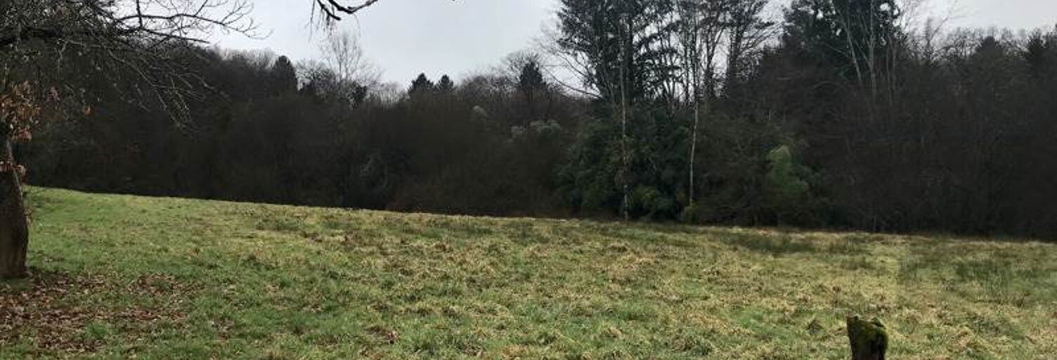 Terrain  1200 m² à vendre à Saint-Sornin-Lavolps (19230)