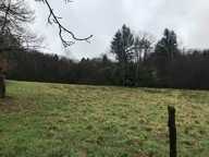 Terrain à construire  1200 m²  — photo 2