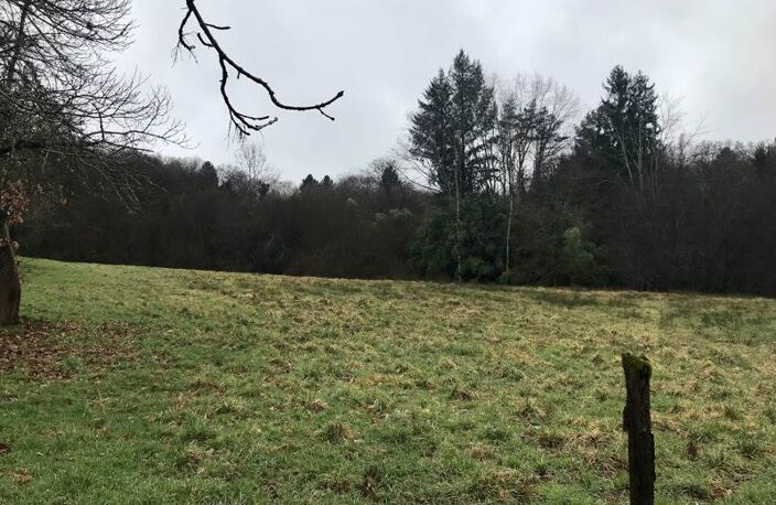 Vente terrain  1200 m² Saint-Sornin-Lavolps (19230) — photo 2