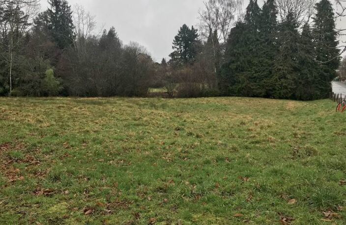 Vente terrain  1200 m² Saint-Sornin-Lavolps (19230) — photo 3