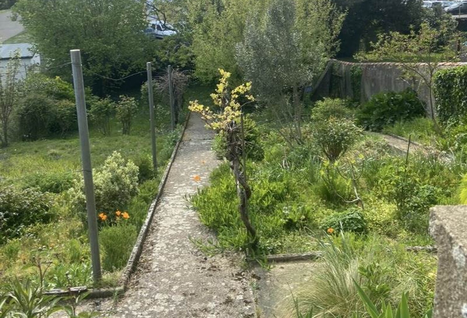 Traditionnelle de 4 pièces principales — photo 1